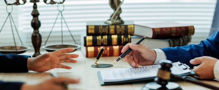 Business Litigation lawyer